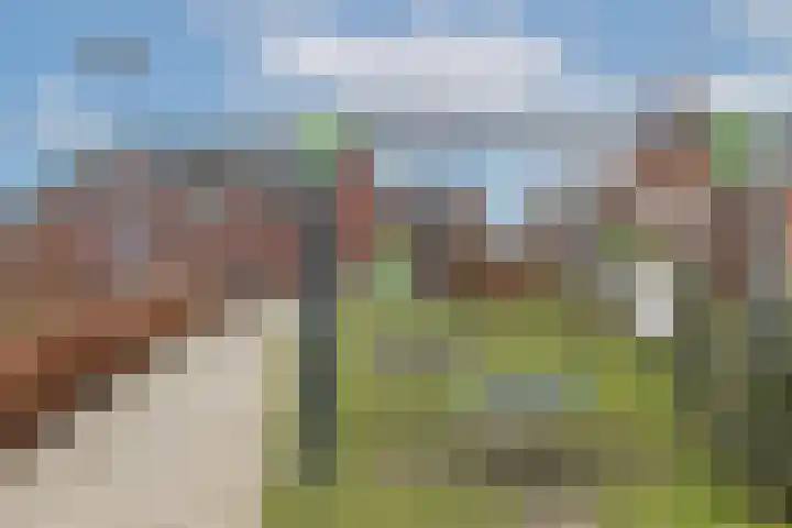 De Hoop 13 Zeewolde thumbnail 58