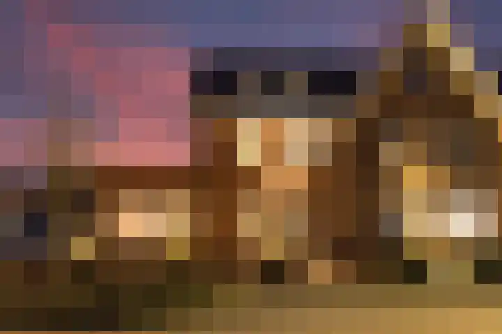 De Hoop 13 Zeewolde thumbnail 7