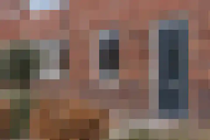 De Hoop 13 Zeewolde thumbnail 8