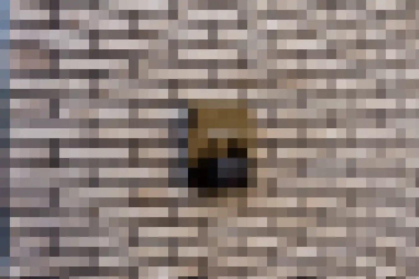 De Hoop 16 Zeewolde thumbnail 56