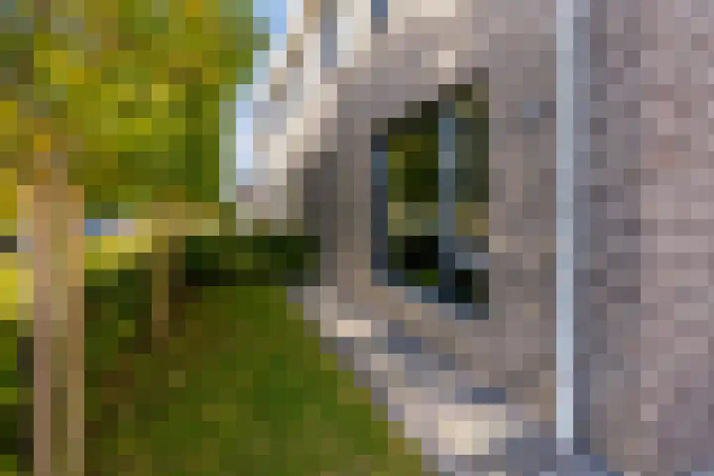 De Hoop 16 Zeewolde thumbnail 57