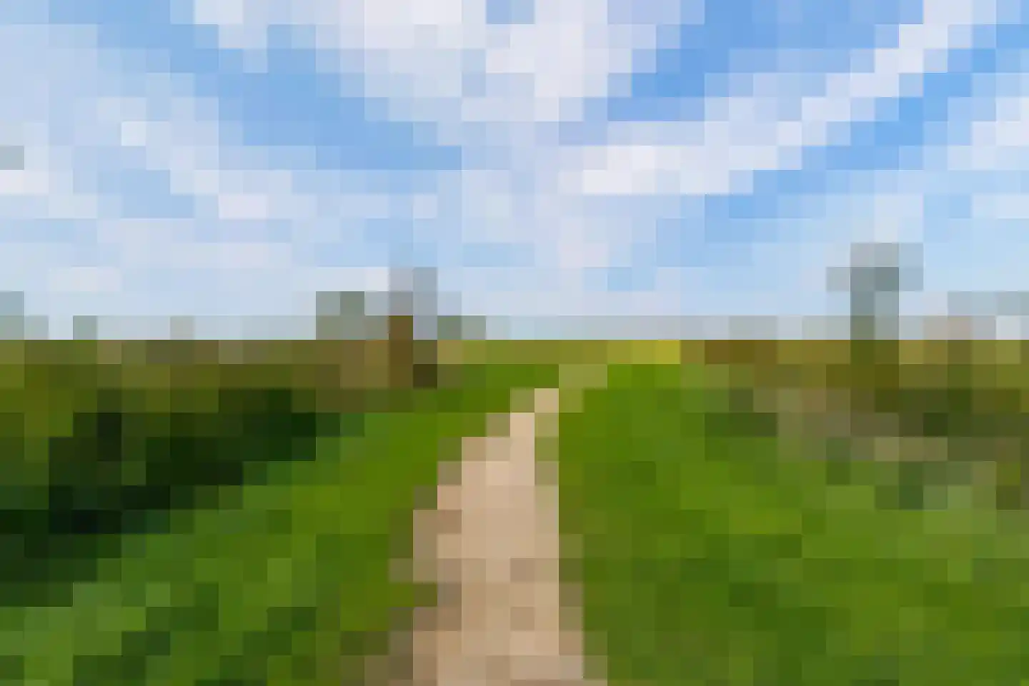 De Hoop 16 Zeewolde thumbnail 65