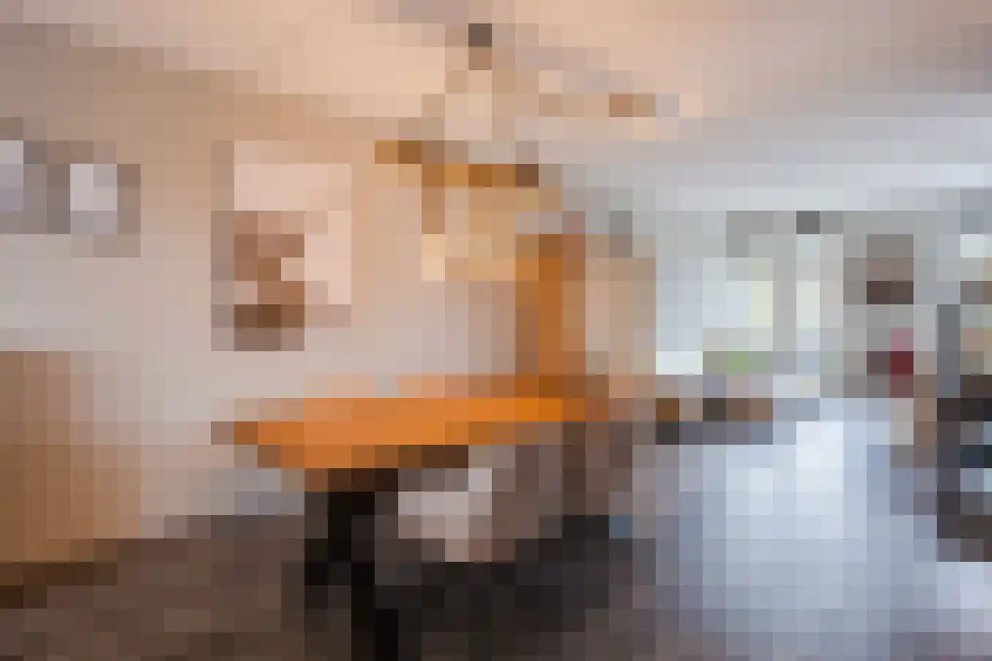 De Hoop 18 Zeewolde thumbnail 14