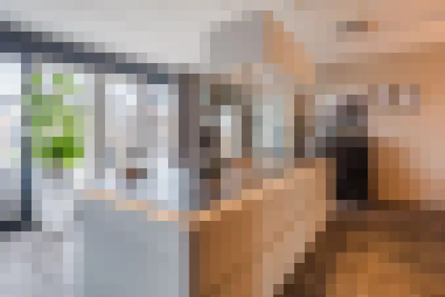 De Hoop 18 Zeewolde thumbnail 6