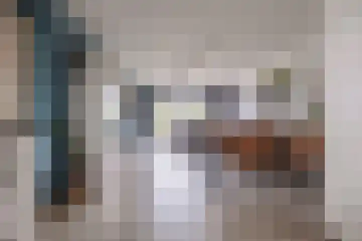 De Hoop 2 d Uitgeest thumbnail 10