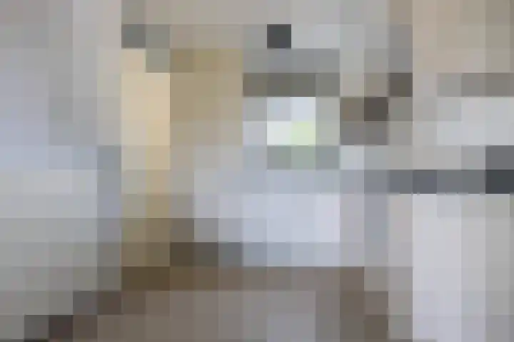 De Hoop 2 d Uitgeest thumbnail 12