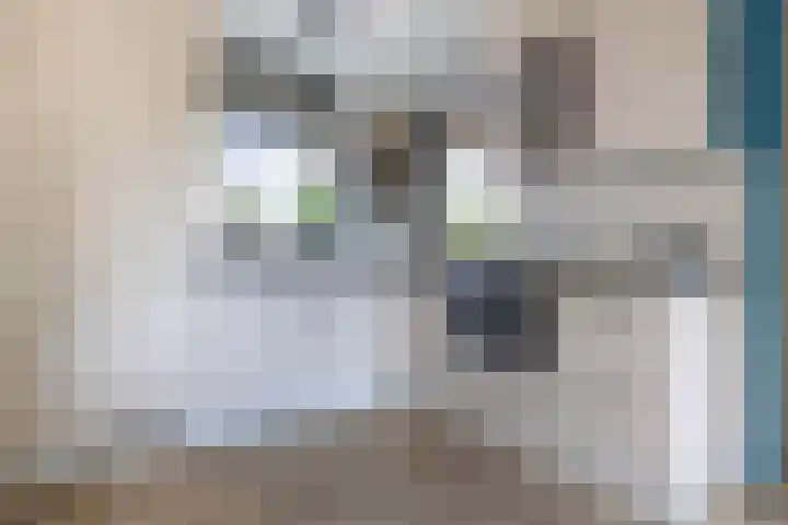 De Hoop 2 d Uitgeest thumbnail 13