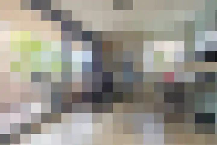 De Hoop 2 d Uitgeest thumbnail 14