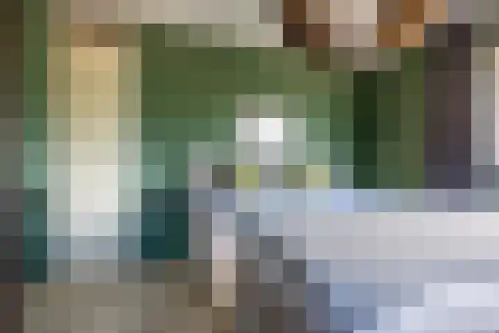 De Hoop 2 d Uitgeest thumbnail 18