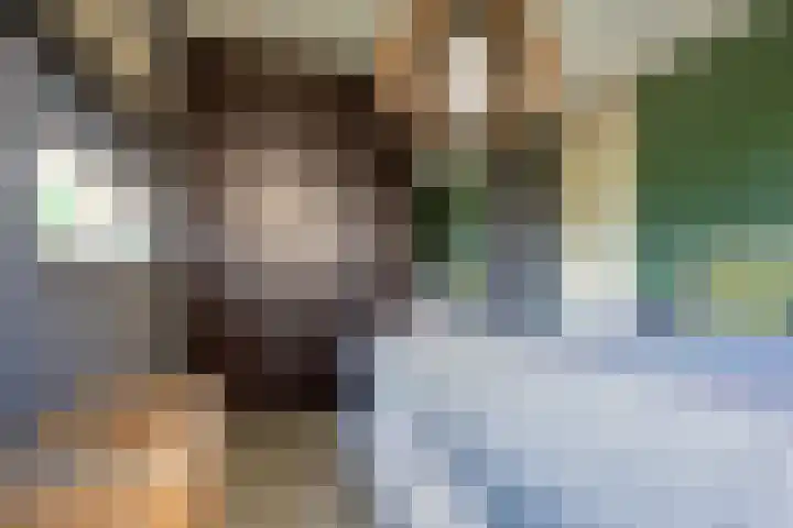 De Hoop 2 d Uitgeest thumbnail 19