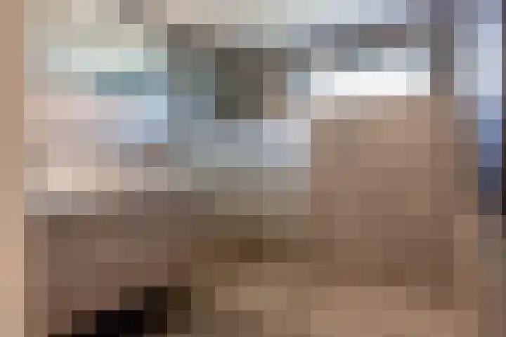 De Hoop 2 d Uitgeest thumbnail 21