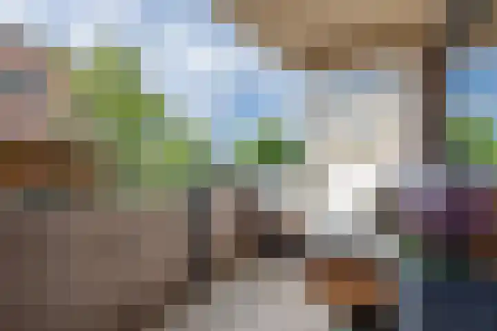 De Hoop 2 d Uitgeest thumbnail 25