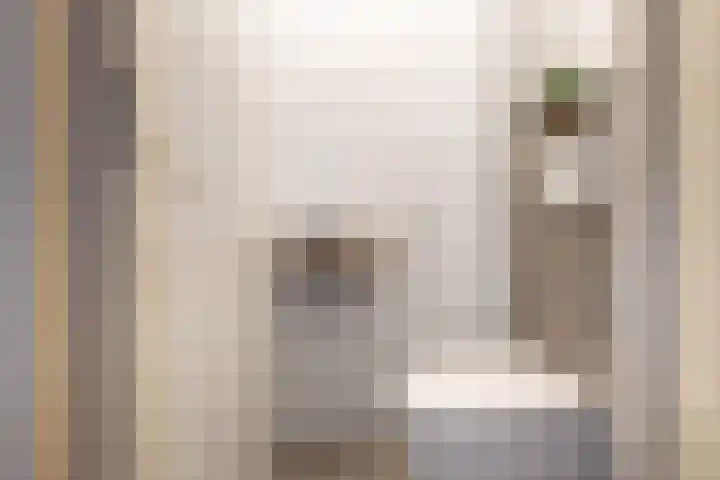 De Hoop 2 d Uitgeest thumbnail 5