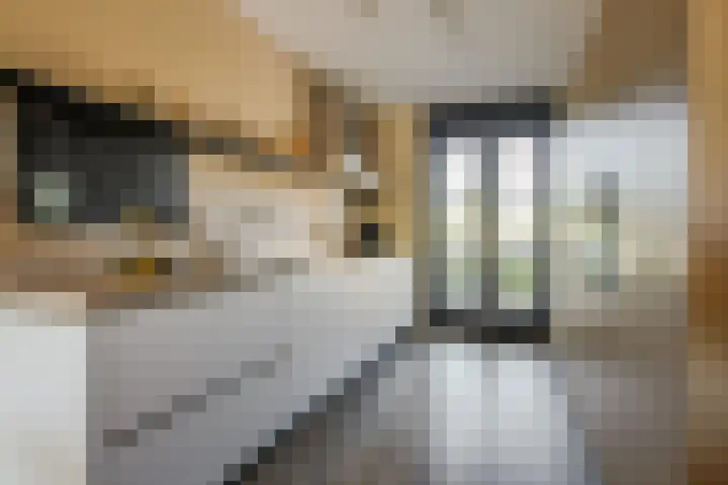 De Hoop 21 Zeewolde thumbnail 13