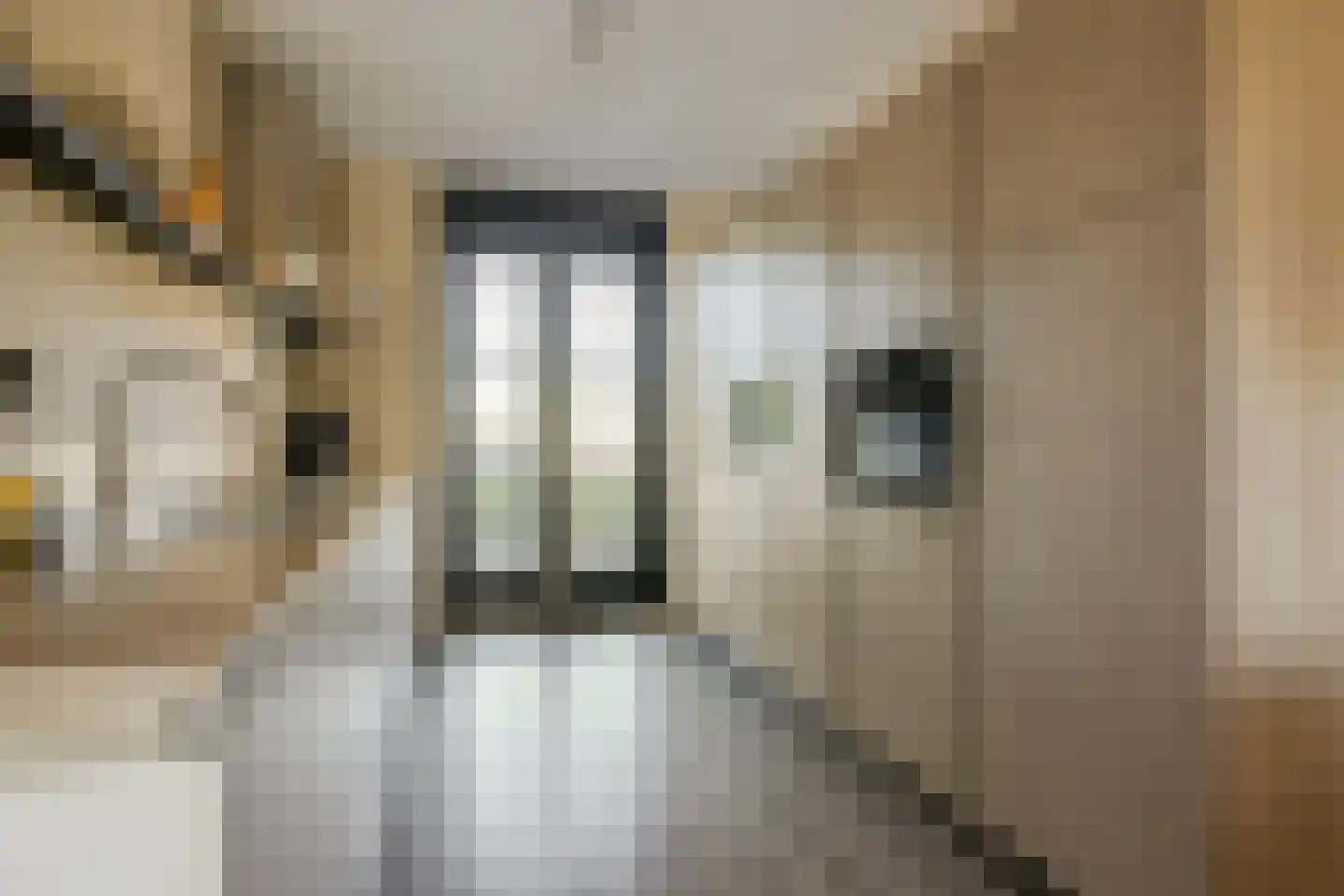 De Hoop 21 Zeewolde thumbnail 14