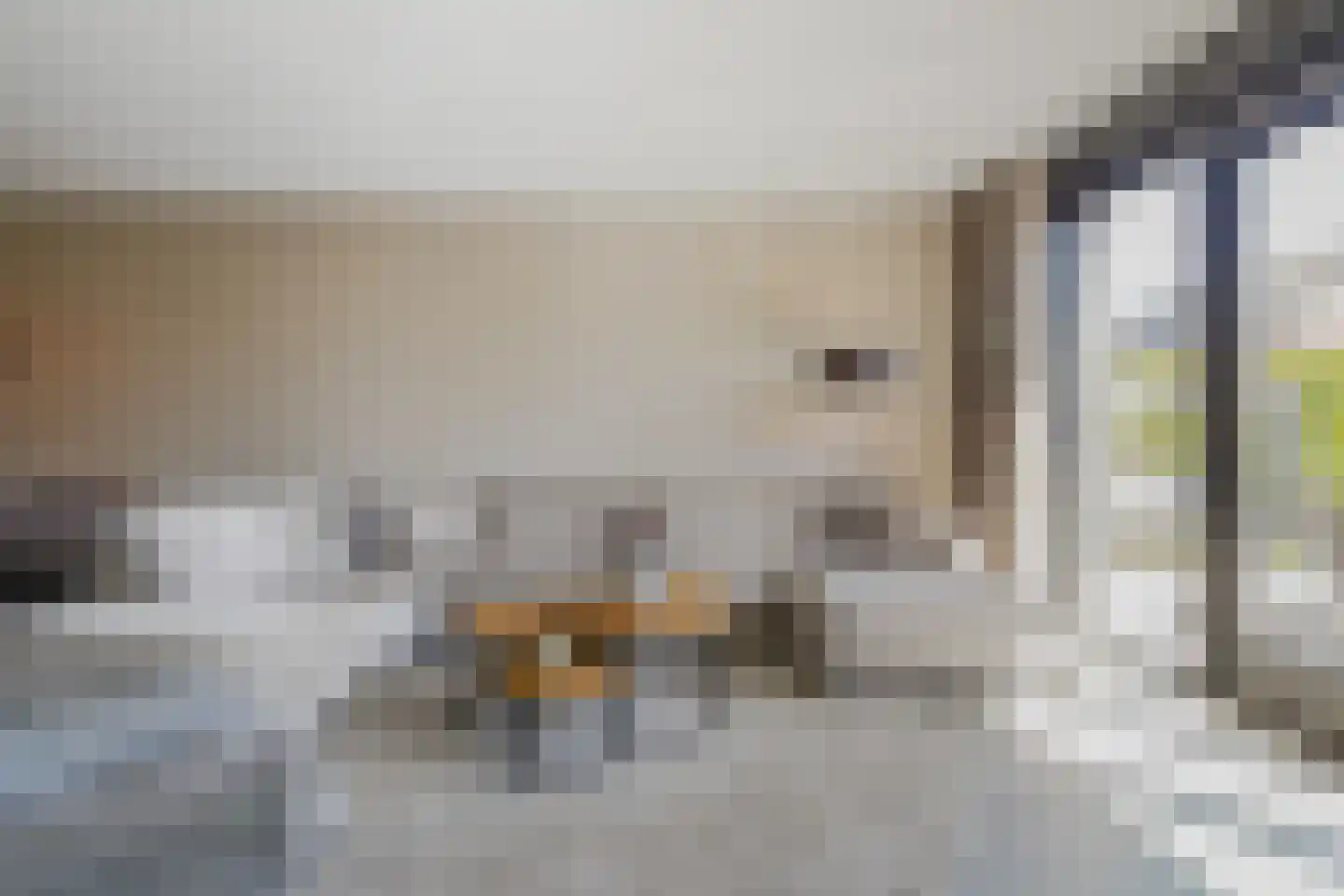 De Hoop 21 Zeewolde thumbnail 20
