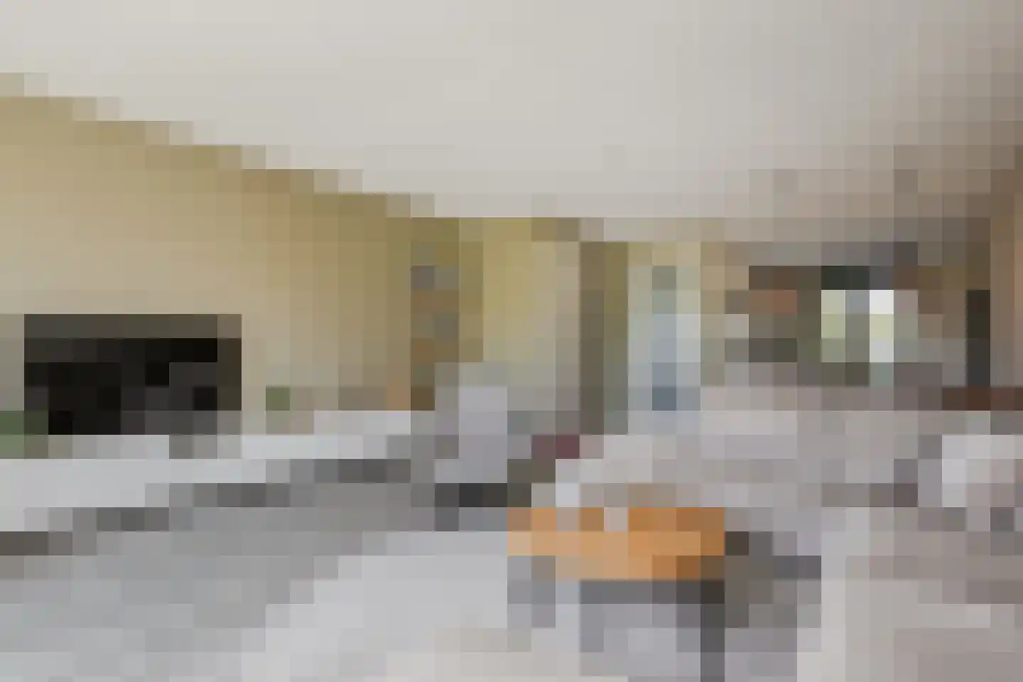 De Hoop 21 Zeewolde thumbnail 21