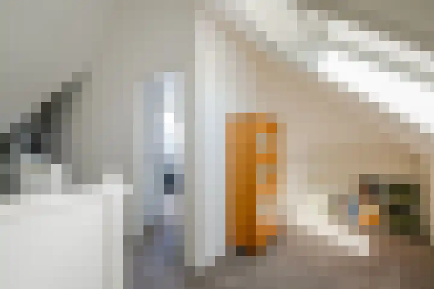 De Hoop 21 Zeewolde thumbnail 30