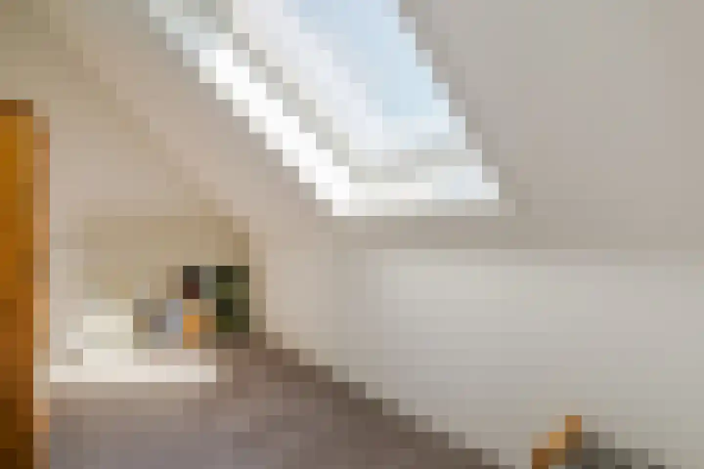 De Hoop 21 Zeewolde thumbnail 31