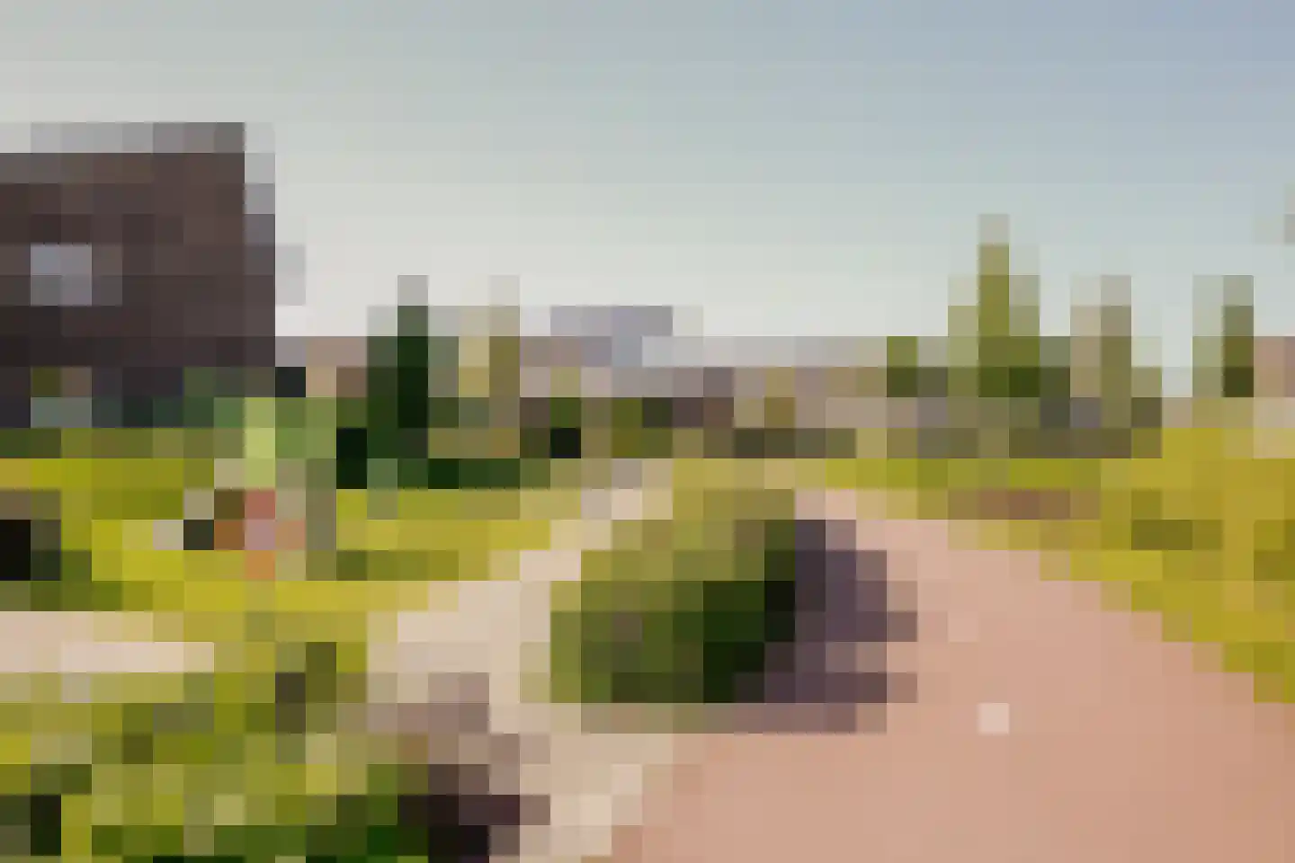 De Hoop 21 Zeewolde thumbnail 42