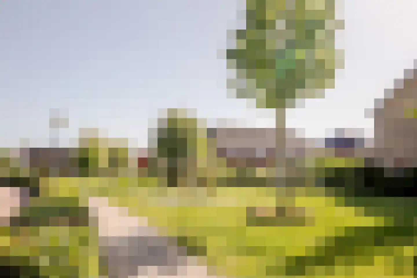 De Hoop 21 Zeewolde thumbnail 43