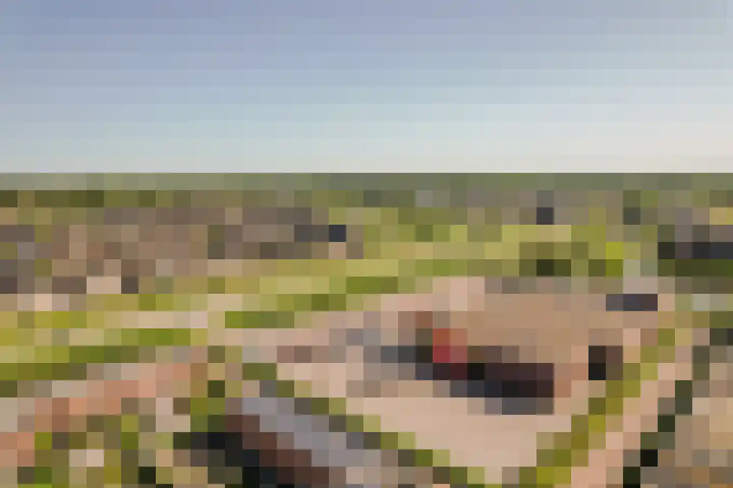 De Hoop 21 Zeewolde thumbnail 44