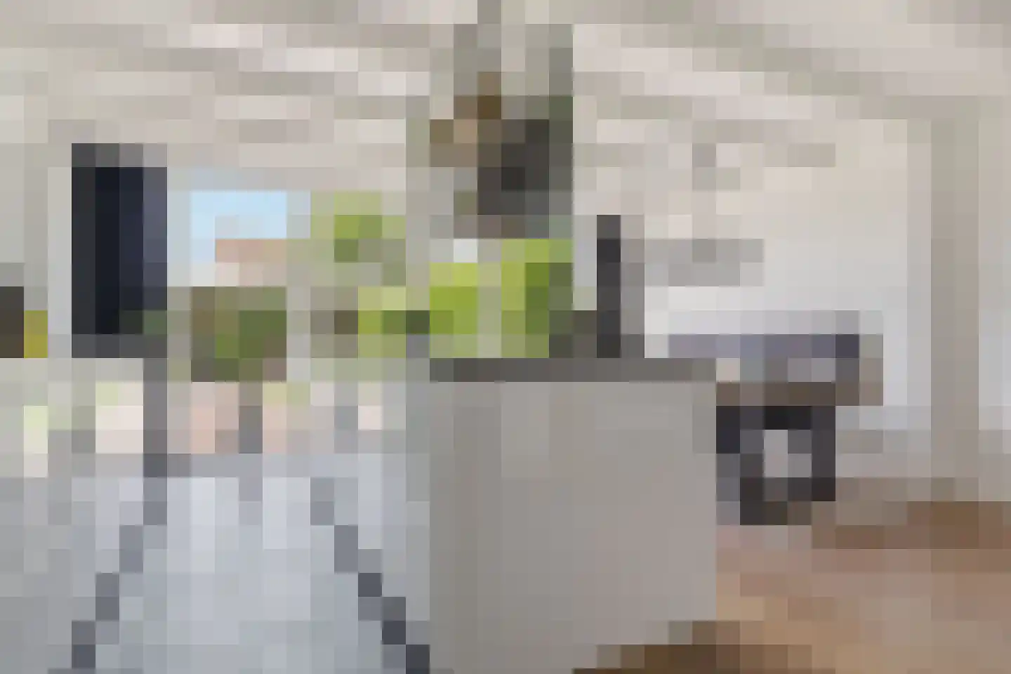 De Hoop 24 Uitgeest thumbnail 11
