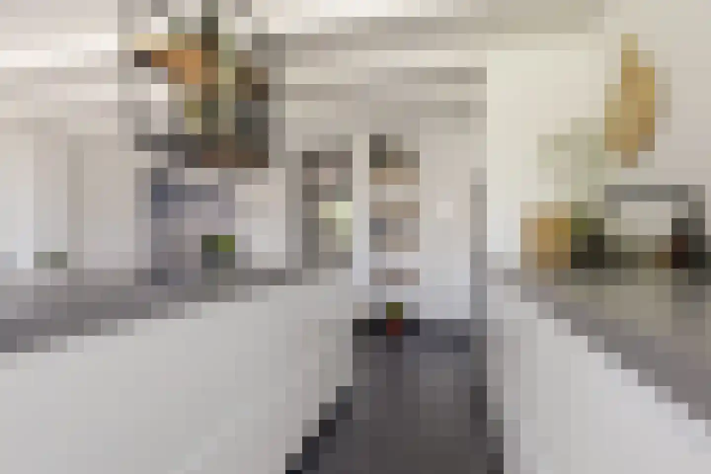 De Hoop 24 Uitgeest thumbnail 13