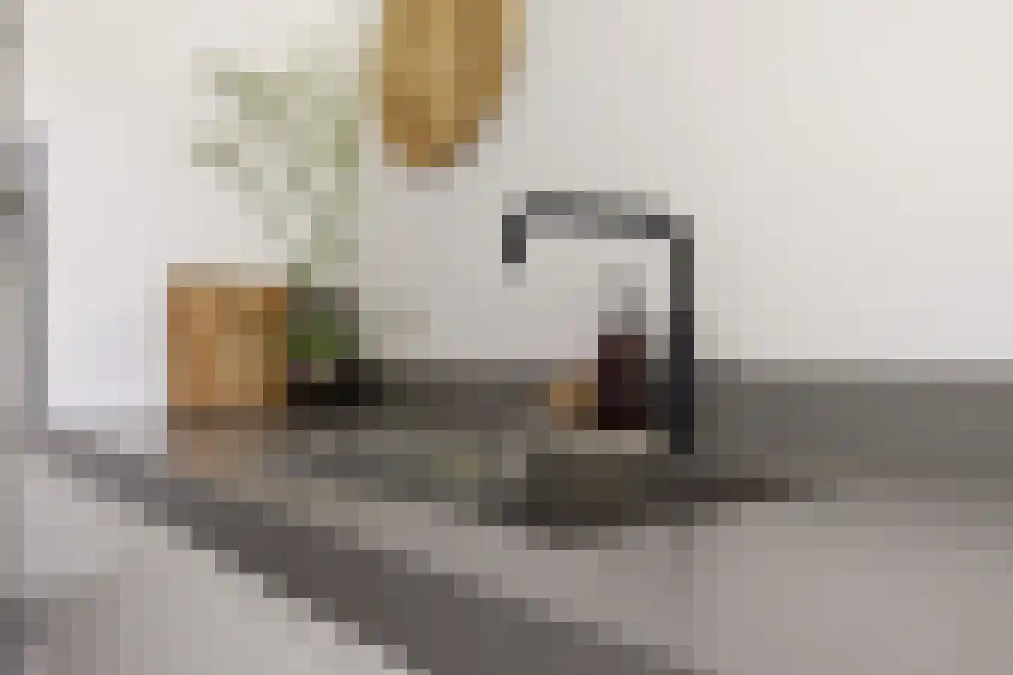 De Hoop 24 Uitgeest thumbnail 14