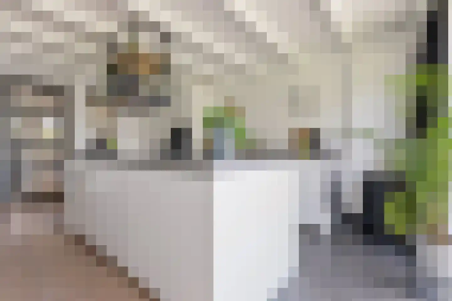 De Hoop 24 Uitgeest thumbnail 16