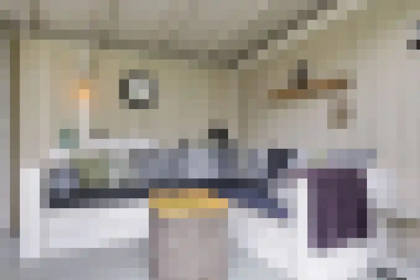De Hoop 24 Uitgeest thumbnail 23