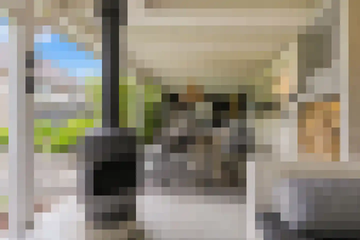 De Hoop 24 Uitgeest thumbnail 24