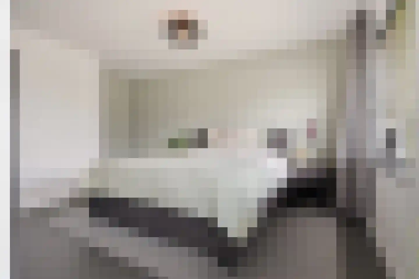 De Hoop 24 Uitgeest thumbnail 35