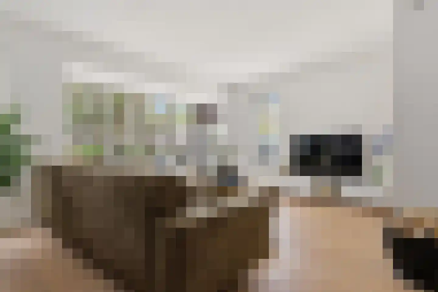 De Hoop 24 Uitgeest thumbnail 4