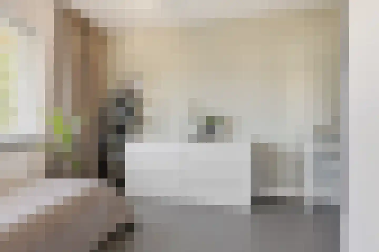 De Hoop 24 Uitgeest thumbnail 40