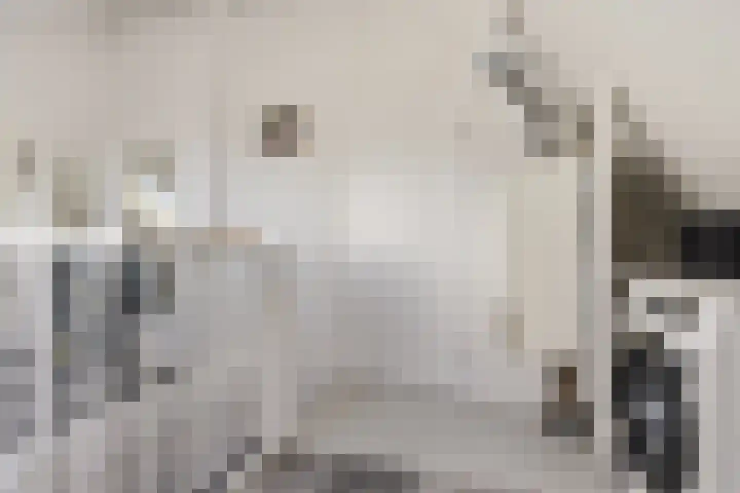 De Hoop 24 Uitgeest thumbnail 47