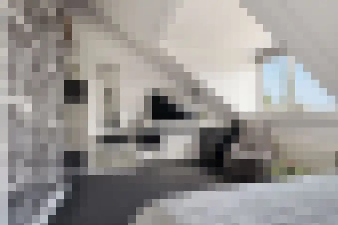 De Hoop 24 Uitgeest thumbnail 48