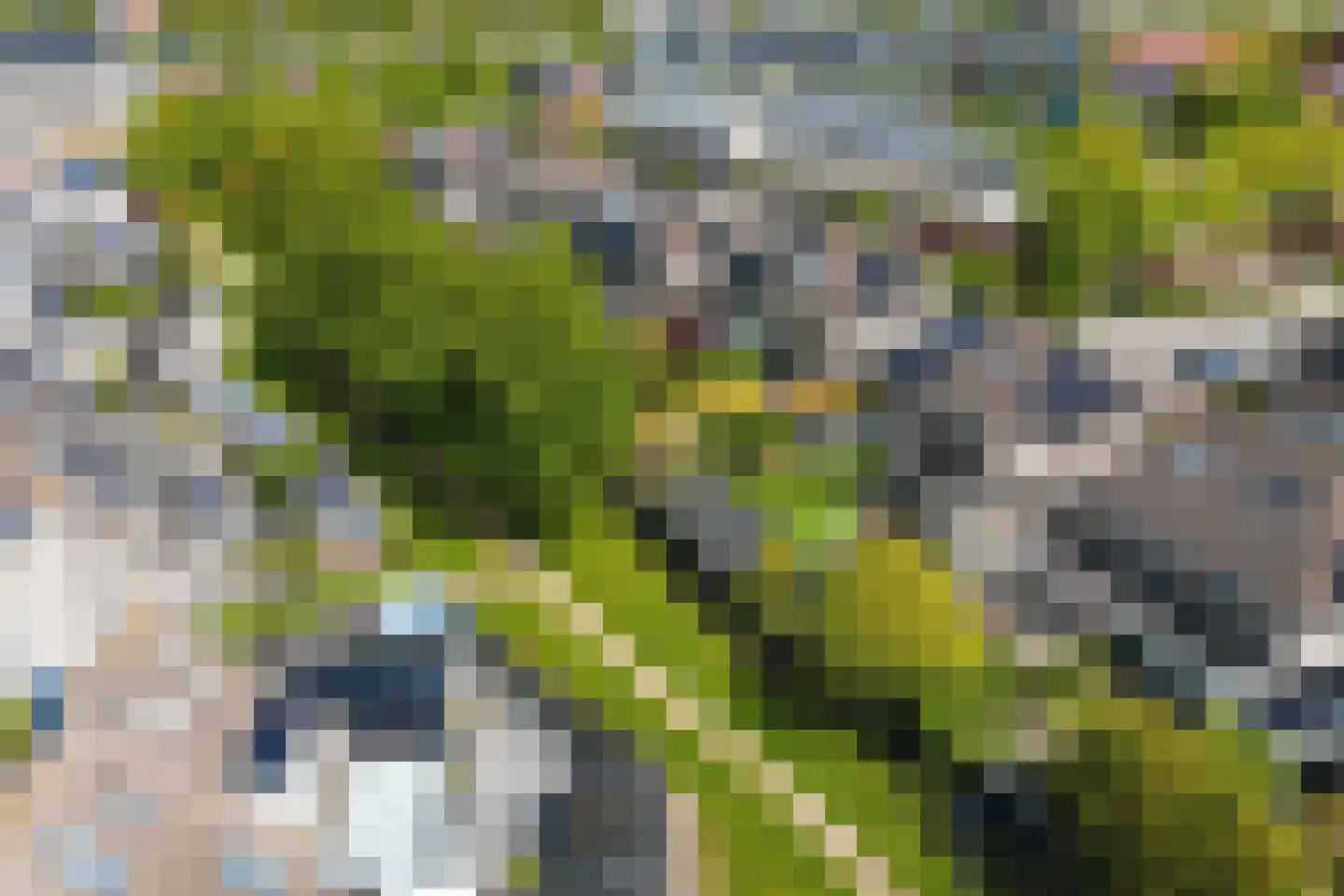 De Hoop 24 Uitgeest thumbnail 54