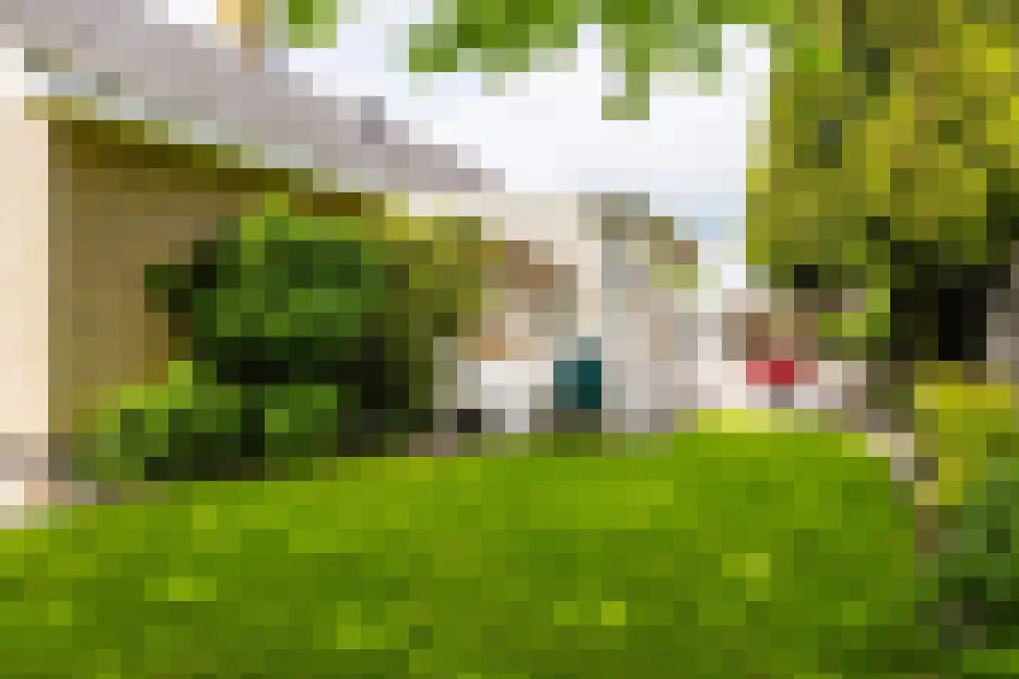 De Hoop 25 Gorredijk thumbnail 10