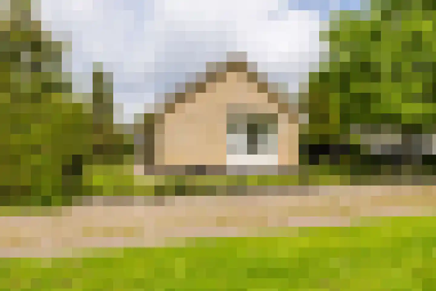 De Hoop 25 Gorredijk thumbnail 12