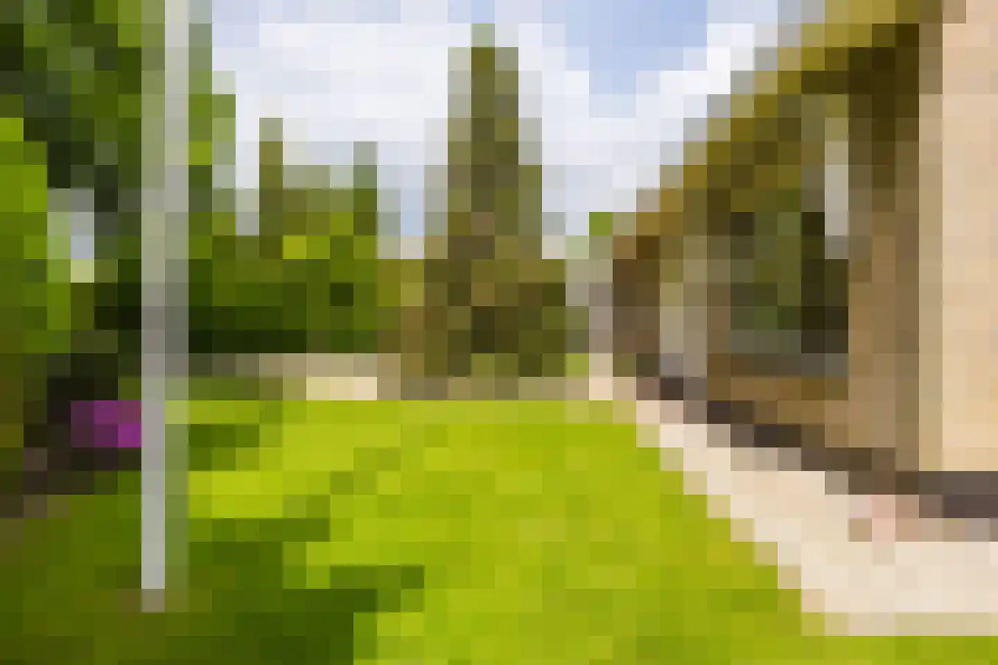 De Hoop 25 Gorredijk thumbnail 15