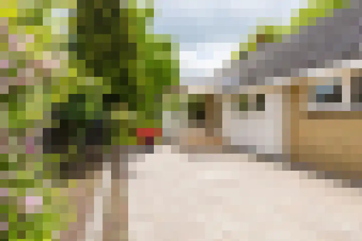 De Hoop 25 Gorredijk thumbnail 16