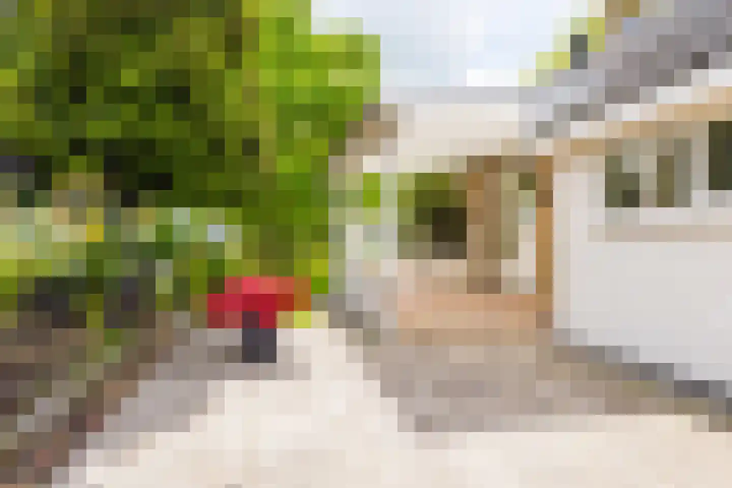 De Hoop 25 Gorredijk thumbnail 19
