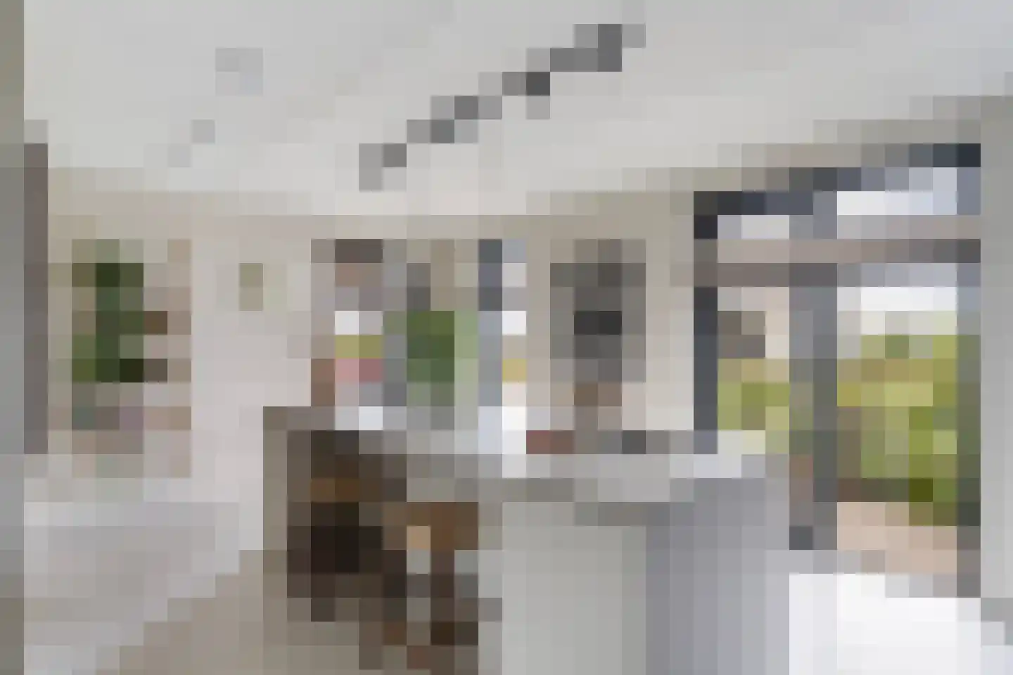 De Hoop 25 Zwolle thumbnail 11
