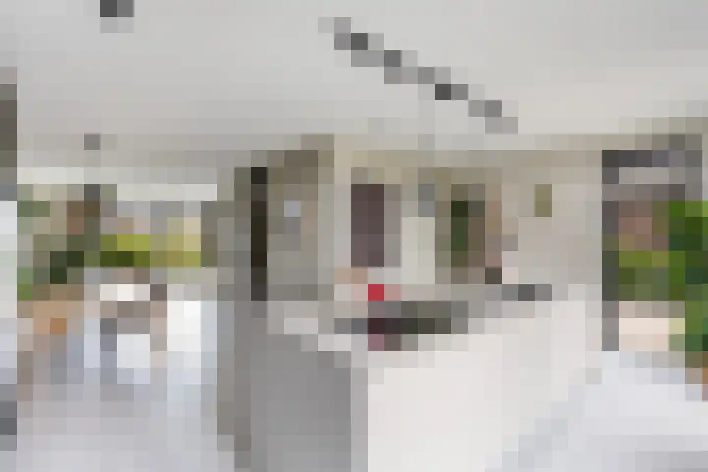 De Hoop 25 Zwolle thumbnail 12