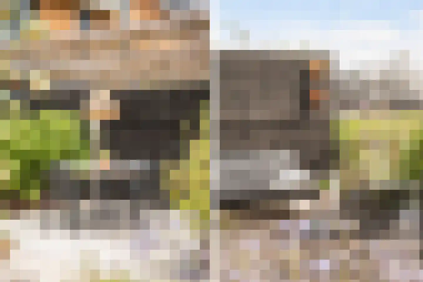 De Hoop 25 Zwolle thumbnail 18