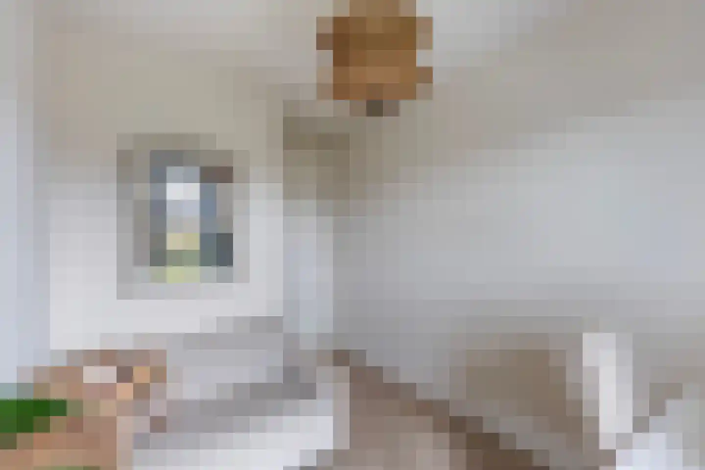 De Hoop 25 Zwolle thumbnail 24