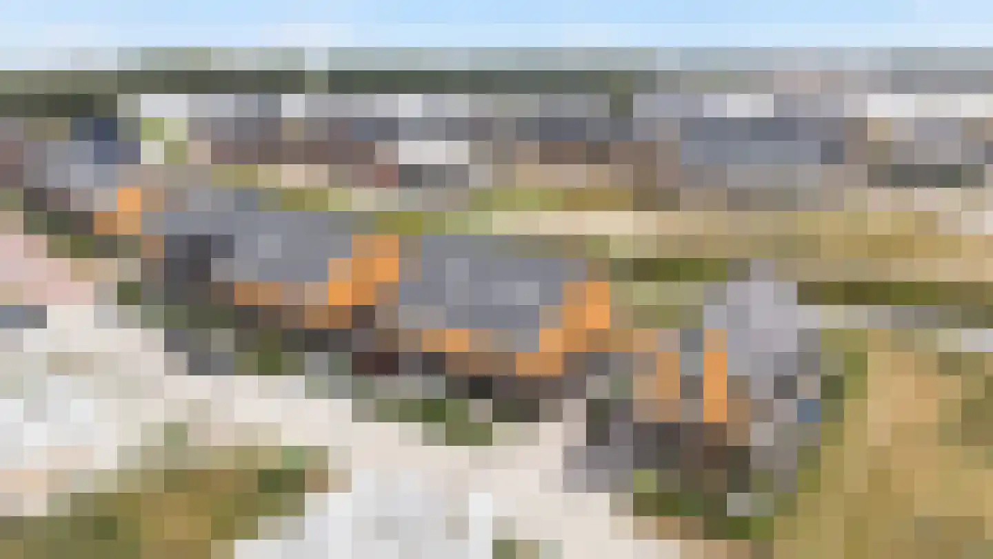 De Hoop 25 Zwolle thumbnail 38