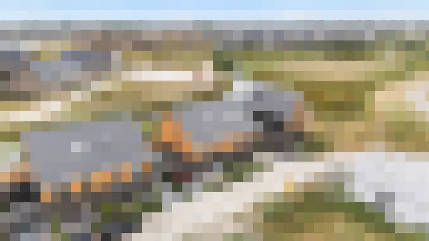 De Hoop 25 Zwolle thumbnail 39