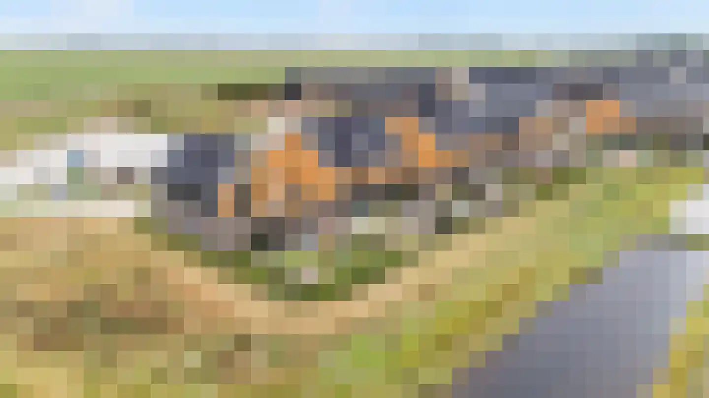 De Hoop 25 Zwolle thumbnail 40